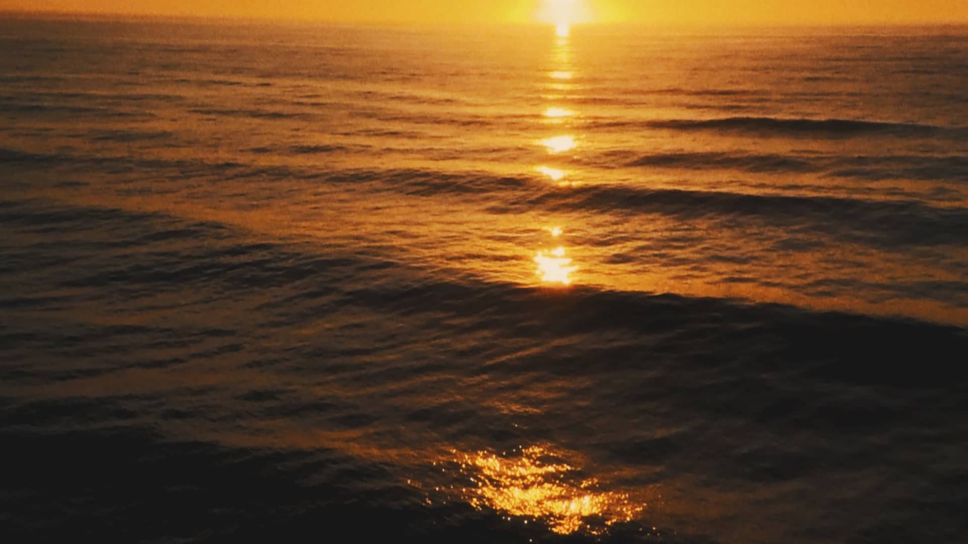 if tomorrow starts without me short film by Ian Brenes